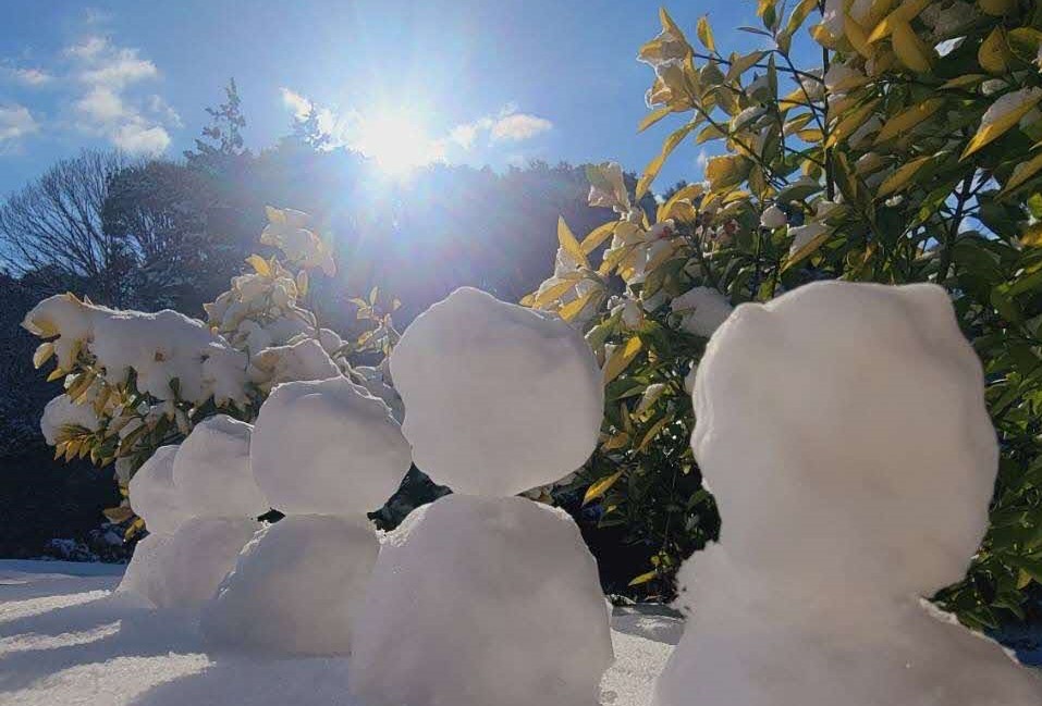 雪の楽しみ方